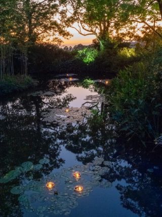 モネのナイトキャンバス Forest Wedding写真２