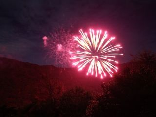 モネのナイトキャンバス Forest Weddingの写真４