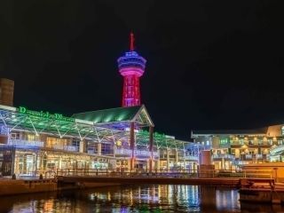 ベイサイドイルミネーション写真１