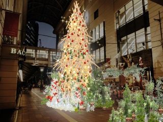 大丸福岡天神店 エルガーラ・パサージュ広場 クリスマスツリー写真１