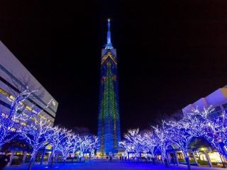 福岡タワークリスマスイルミネーション写真１