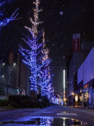 くるめ光の祭典 ほとめきファンタジーの写真４