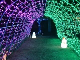 島原ウィンターナイト・ファンタジアの写真３