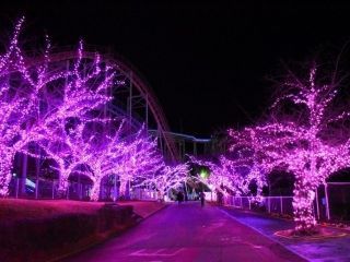 グリーンランド「Wonder illumination」写真２