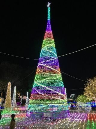 フローランテ宮崎 イルミネーション・フラワーガーデン写真２