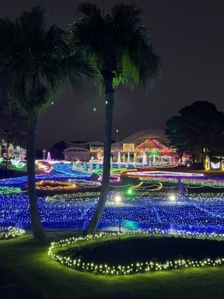 フローランテ宮崎 イルミネーション・フラワーガーデンの写真３