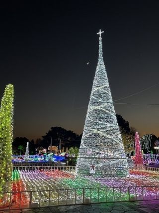 フローランテ宮崎 イルミネーション・フラワーガーデンの写真４