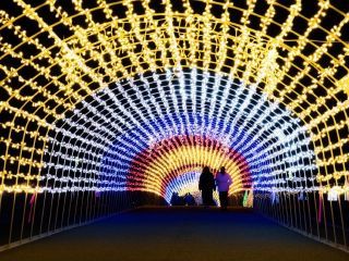 クリスマスファンタジーナイトin霧島ヶ丘公園の写真3