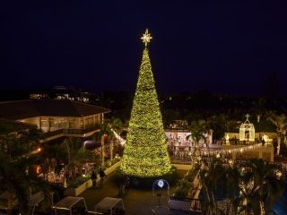 スターダストファンタジア写真２