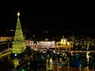 スターダストファンタジアの写真３