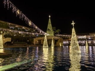 スターダストファンタジアの写真４