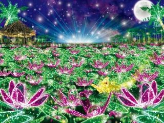 東南植物楽園「沖縄南国イルミネーション」写真１