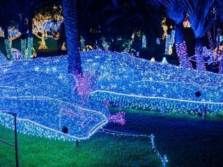 東南植物楽園「沖縄南国イルミネーション」の写真３