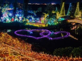 東南植物楽園「沖縄南国イルミネーション」の写真４