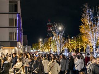 和歌山けやきライトパレード写真２