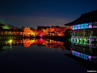 平安神宮×NAKED 冬のライトアップ写真１