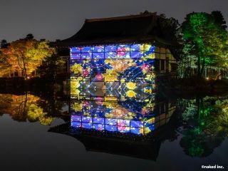 平安神宮×NAKED 冬のライトアップ写真２