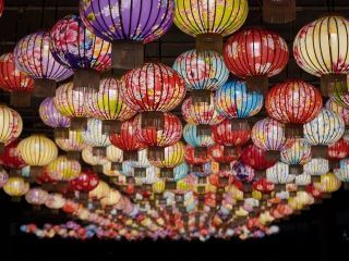 ひらかわイルミネーションプロムナード写真１