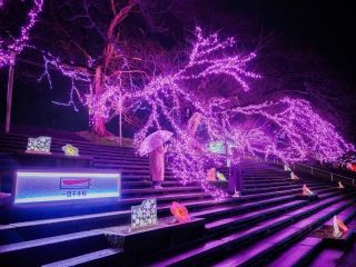 おおがわら桜イルミネーション写真１