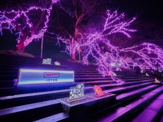 おおがわら桜イルミネーション写真２