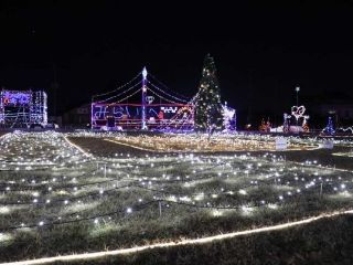 イルミネーションフェスタ(埼玉県)写真1