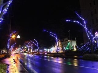 見附市街路樹イルミネーション写真２