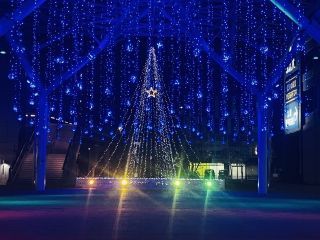 ウィンターイルミネーションin太田川写真１