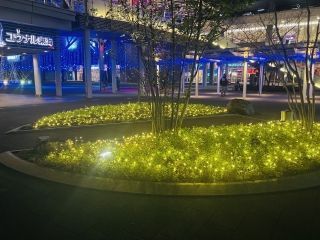 ウィンターイルミネーションin太田川写真２