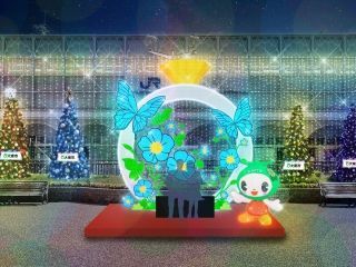 大東市スマイルミネーション写真１