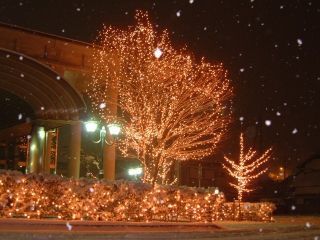 生野イルミネーションロード写真１