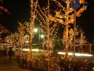 生野イルミネーションロード写真２