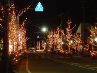 生野イルミネーションロードの写真３