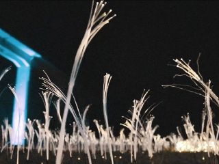 INAKAイルミ写真２