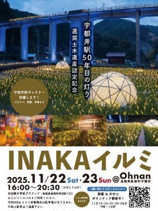 INAKAイルミの写真３