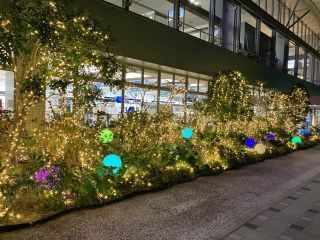 エアポートイルミネーション写真2
