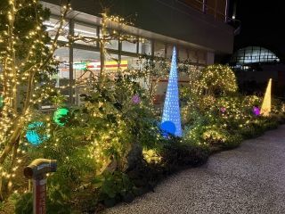 エアポートイルミネーションの写真3