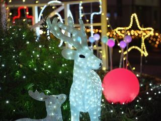 小郡市賑わい創出イルミネーション写真２