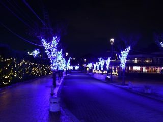 すえまちコミュニティ・イルミネーションの写真4