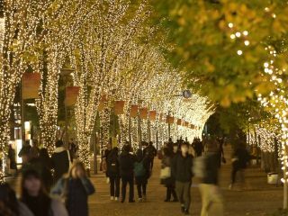 たちかわイルミネーション写真１