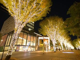 たちかわイルミネーションの写真３