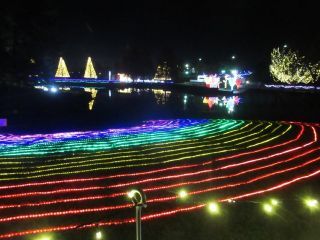 木曽三川公園センター・冬の光物語の写真４