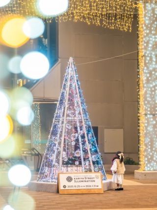 かりやストリートイルミネーションの写真３