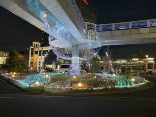 バンビオイルミネーション写真1