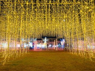 大阪城イルミナージュ「天下一統 光の章」の写真３