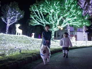 Wonder Night Hillの写真３