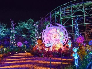 ひらかたパーク 光の遊園地写真２