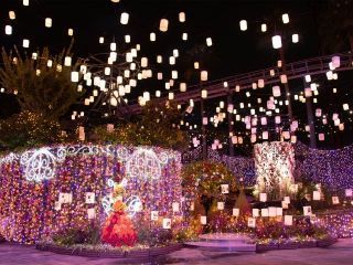 ひらかたパーク 光の遊園地の写真３
