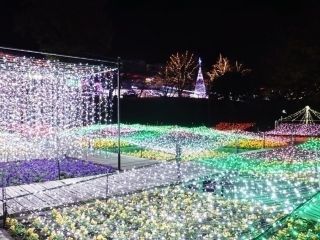 フラワーイルミネーションinとっとり花回廊の写真4