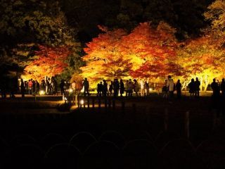 秋の幻想庭園の写真４