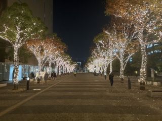 高松シンボルタワーウィンターイルミネーションの写真3